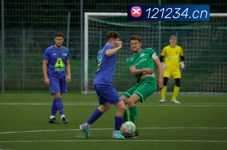 巅峰国际app官方下载渠道平台生态图